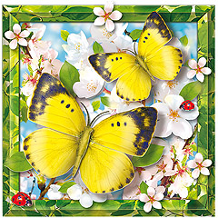 �� 41-205 ������� <br />�������� �������